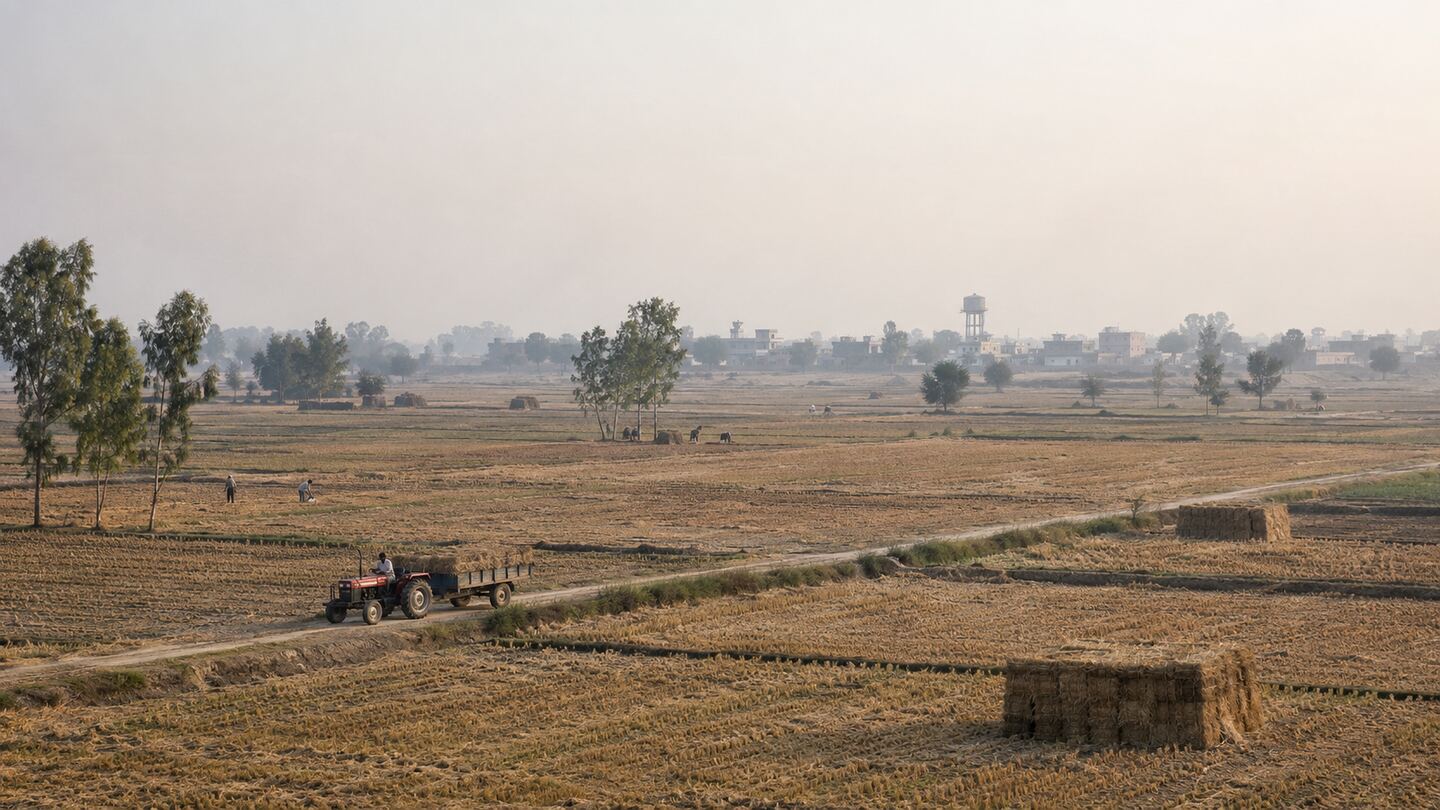 Harvested paddy fields in Haryana stretching to a hazy horizon, with straw-bale stacks, eucalyptus trees, a distant village water tank and a tractor-trolley on a farm track